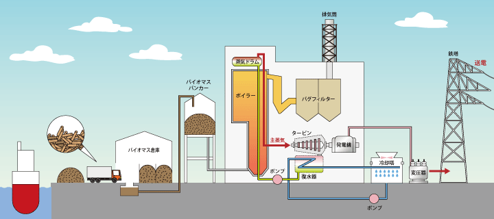 バイオマス発電の流れ